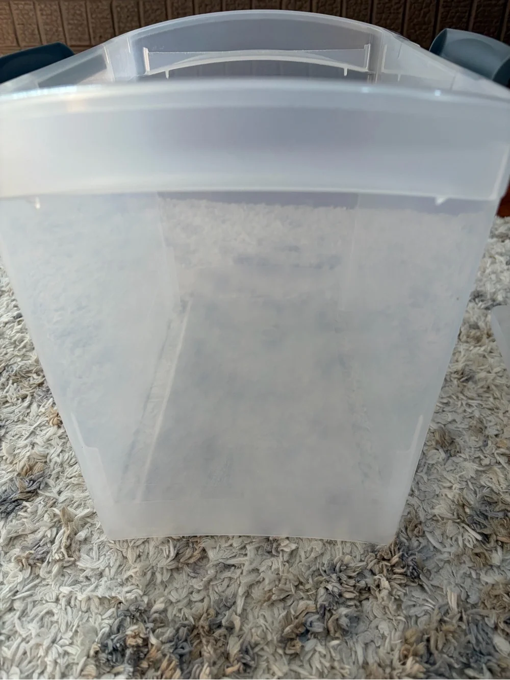 Sterilite Clear Plastic Storage File Container with Gray Lid Handle